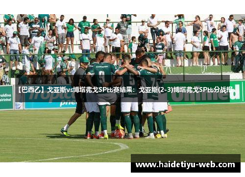 【巴西乙】戈亚斯vs博塔弗戈SP比赛结果：戈亚斯(2-3)博塔弗戈SP比分战报